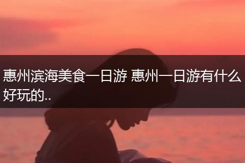 惠州滨海美食一日游 惠州一日游有什么好玩的..