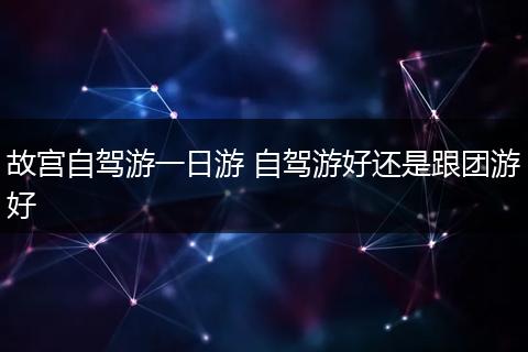 故宫自驾游一日游 自驾游好还是跟团游好