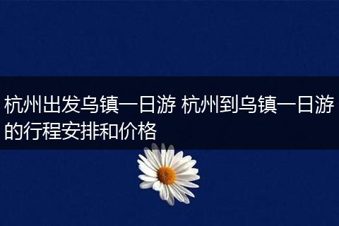 杭州出发乌镇一日游 杭州到乌镇一日游的行程安排和价格