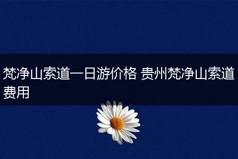 梵净山索道一日游价格 贵州梵净山索道费用