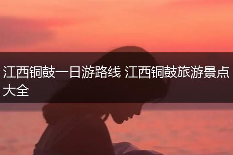 江西铜鼓一日游路线 江西铜鼓旅游景点大全