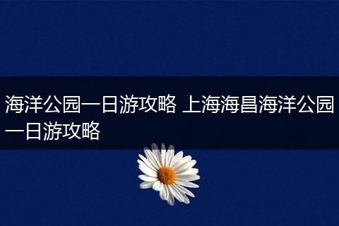 海洋公园一日游攻略 上海海昌海洋公园一日游攻略
