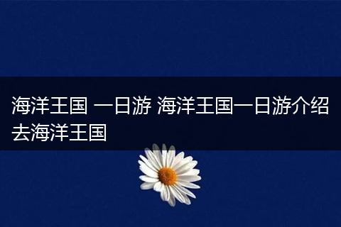 海洋王国 一日游 海洋王国一日游介绍去海洋王国