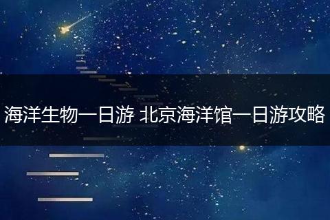 海洋生物一日游 北京海洋馆一日游攻略