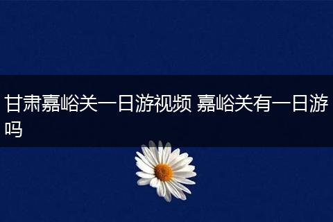 甘肃嘉峪关一日游视频 嘉峪关有一日游吗