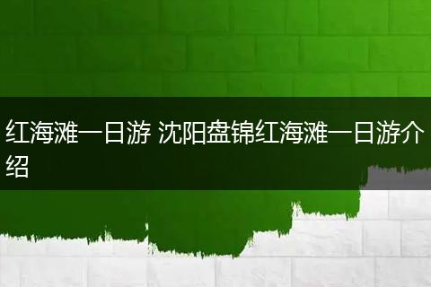 红海滩一日游 沈阳盘锦红海滩一日游介绍
