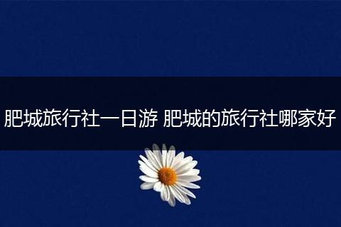 肥城旅行社一日游 肥城的旅行社哪家好
