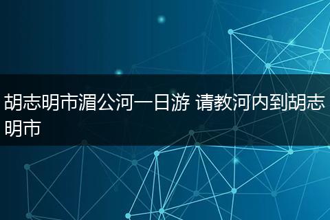 胡志明市湄公河一日游 请教河内到胡志明市