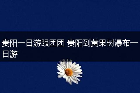 贵阳一日游跟团团 贵阳到黄果树瀑布一日游