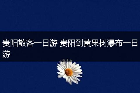 贵阳散客一日游 贵阳到黄果树瀑布一日游