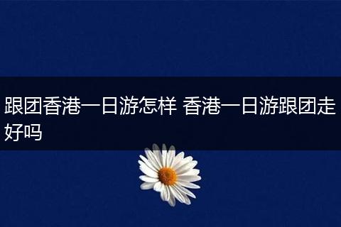 跟团香港一日游怎样 香港一日游跟团走好吗
