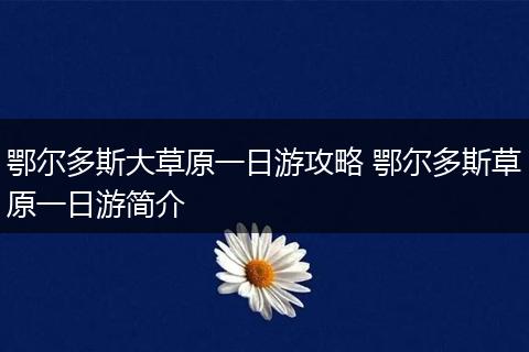 鄂尔多斯大草原一日游攻略 鄂尔多斯草原一日游简介