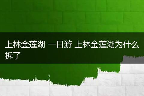 上林金莲湖 一日游 上林金莲湖为什么拆了
