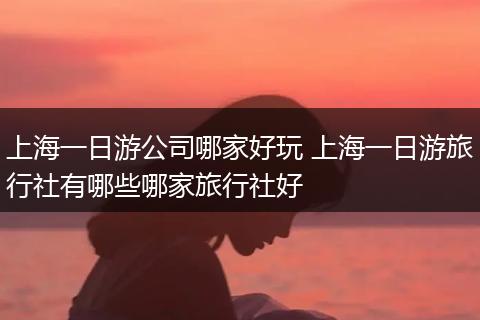 上海一日游公司哪家好玩 上海一日游旅行社有哪些哪家旅行社好