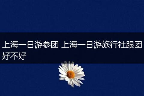 上海一日游参团 上海一日游旅行社跟团好不好