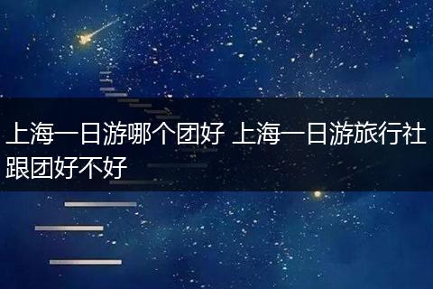 上海一日游哪个团好 上海一日游旅行社跟团好不好