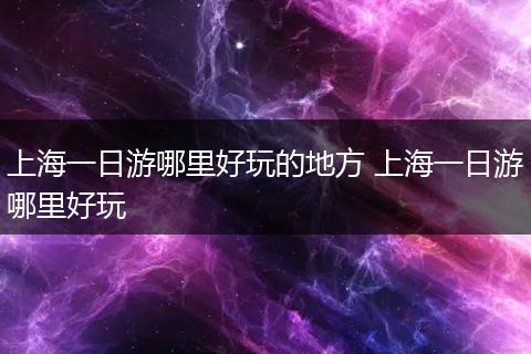 上海一日游哪里好玩的地方 上海一日游哪里好玩