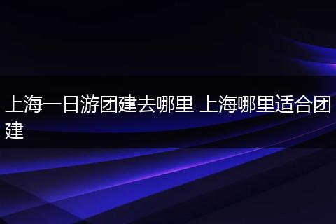 上海一日游团建去哪里 上海哪里适合团建