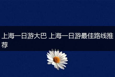 上海一日游大巴 上海一日游最佳路线推荐