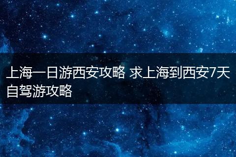 上海一日游西安攻略 求上海到西安7天自驾游攻略