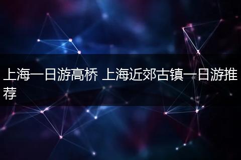 上海一日游高桥 上海近郊古镇一日游推荐
