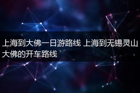 上海到大佛一日游路线 上海到无锡灵山大佛的开车路线