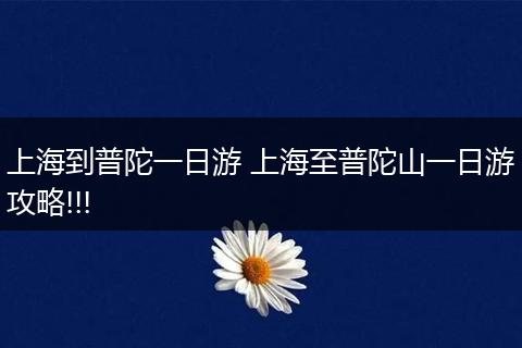 上海到普陀一日游 上海至普陀山一日游攻略!!!