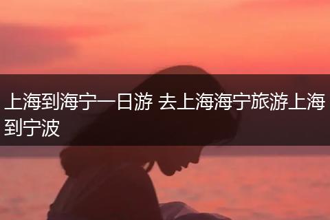 上海到海宁一日游 去上海海宁旅游上海到宁波