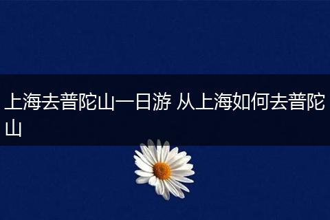 上海去普陀山一日游 从上海如何去普陀山