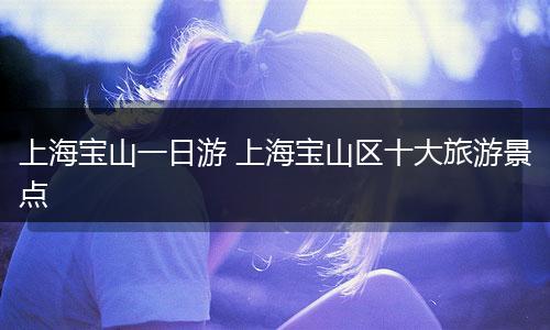 上海宝山一日游 上海宝山区十大旅游景点