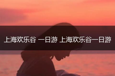 上海欢乐谷 一日游 上海欢乐谷一日游