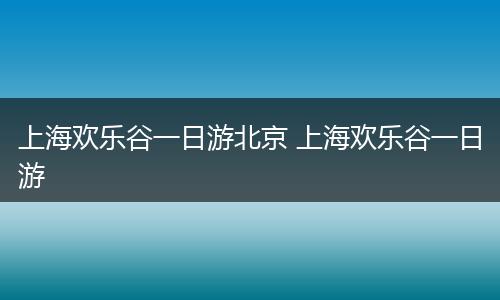 上海欢乐谷一日游北京 上海欢乐谷一日游
