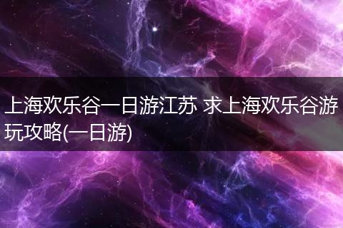 上海欢乐谷一日游江苏 求上海欢乐谷游玩攻略(一日游)