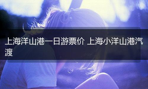 上海洋山港一日游票价 上海小洋山港汽渡