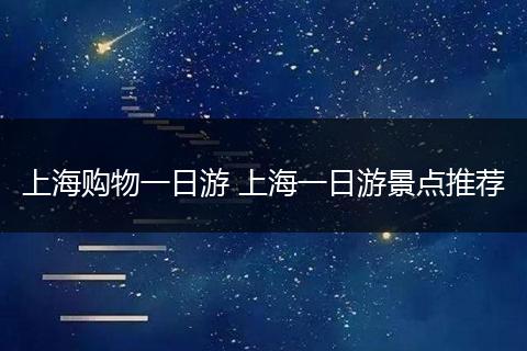 上海购物一日游 上海一日游景点推荐