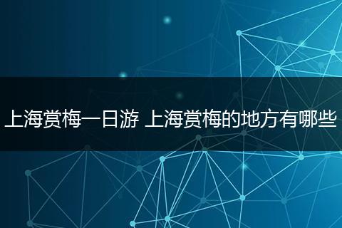 上海赏梅一日游 上海赏梅的地方有哪些