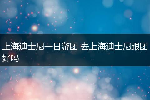 上海迪士尼一日游团 去上海迪士尼跟团好吗