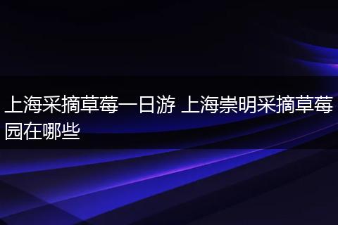 上海采摘草莓一日游 上海崇明采摘草莓园在哪些