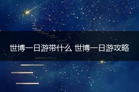 世博一日游带什么 世博一日游攻略
