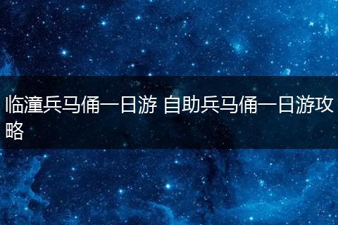 临潼兵马俑一日游 自助兵马俑一日游攻略