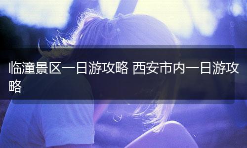 临潼景区一日游攻略 西安市内一日游攻略