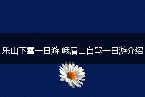 乐山下雪一日游 峨眉山自驾一日游介绍