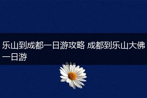 乐山到成都一日游攻略 成都到乐山大佛一日游