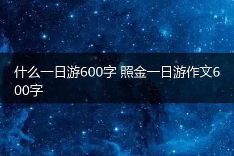 什么一日游600字 照金一日游作文600字