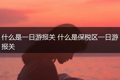 什么是一日游报关 什么是保税区一日游报关