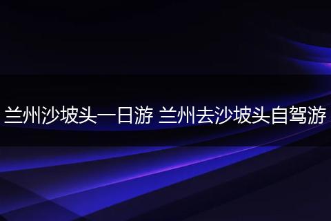 兰州沙坡头一日游 兰州去沙坡头自驾游