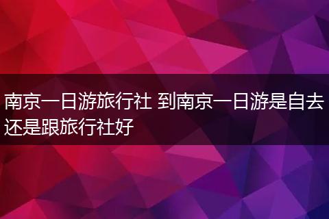 南京一日游旅行社 到南京一日游是自去还是跟旅行社好