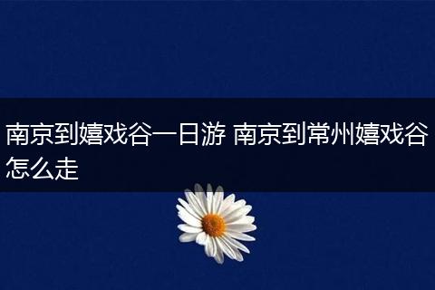南京到嬉戏谷一日游 南京到常州嬉戏谷怎么走