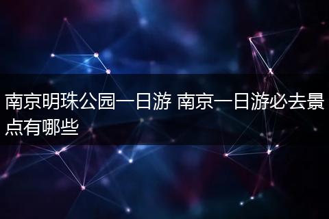 南京明珠公园一日游 南京一日游必去景点有哪些