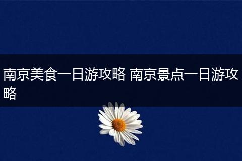 南京美食一日游攻略 南京景点一日游攻略